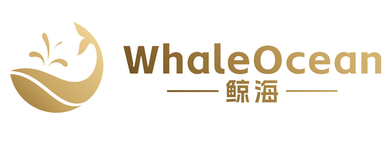 鲸海集团_全球领先的TikTok代运营公司